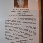 Labyrint světa