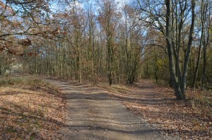 DSC 0948